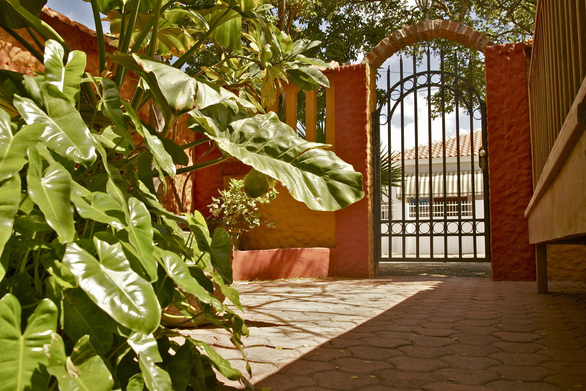 Flamboyant Garden Villas Oranjestad Bagian luar foto